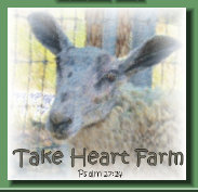 the_new_take_heart_farm005001.jpg